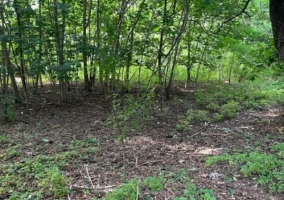 działka na sprzedaż - Tarczyn, Korzeniówka, Topolowa