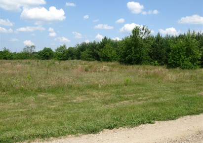 działka na sprzedaż - Wieliszew, Skrzeszew, Szkolna