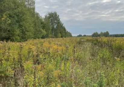 działka na sprzedaż - Kowiesy, Wola Pękoszewska